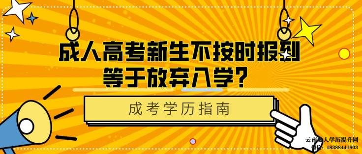 云南省成人高考录取查询入口