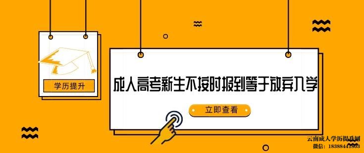 云南成人学历报考中心