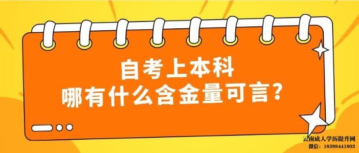 成人自考本科文凭有用吗