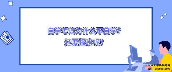 小自考只能报机构吗