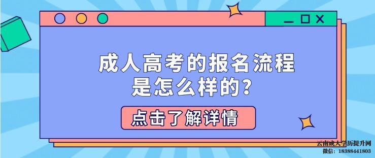 云南成人高考的报名流程是怎么样的