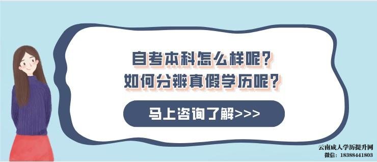 云南自考本科文凭有用吗