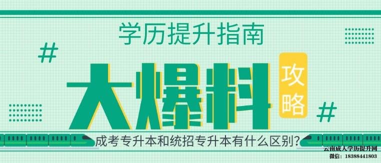 成考专升本和统招专升本哪个含金量高