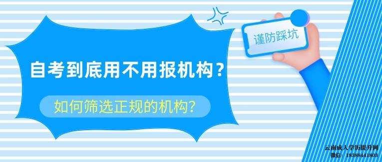 自考本科要报机构吗